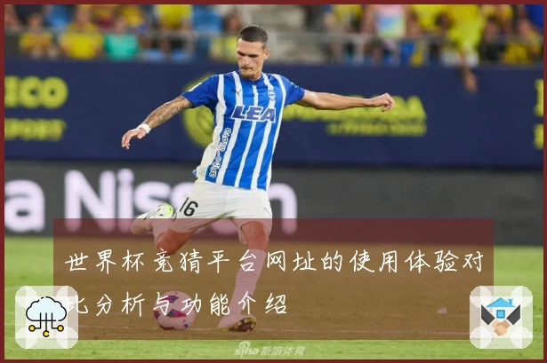 世界杯竞猜平台网址的使用体验对比分析与功能介绍