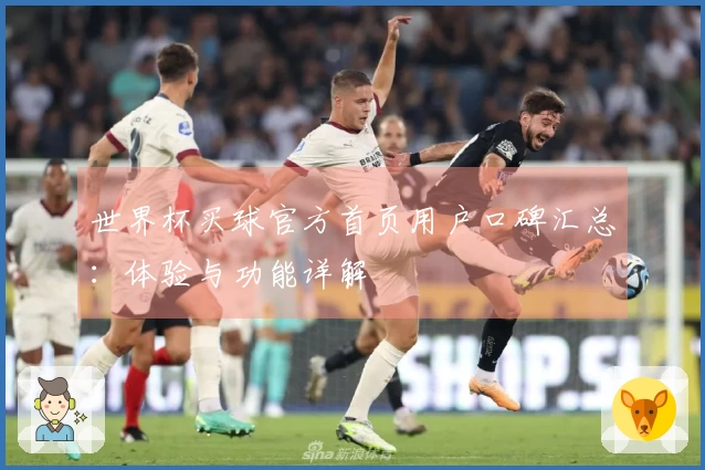 世界杯买球官方首页用户口碑汇总：体验与功能详解