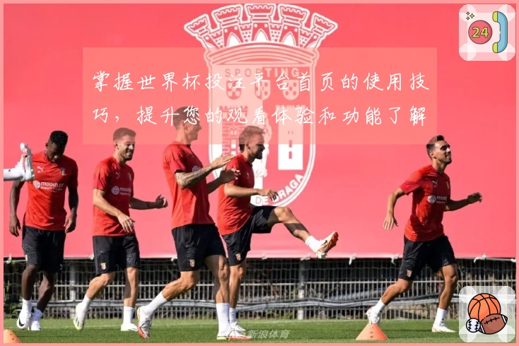 掌握世界杯投注平台首页的使用技巧，提升您的观看体验和功能了解