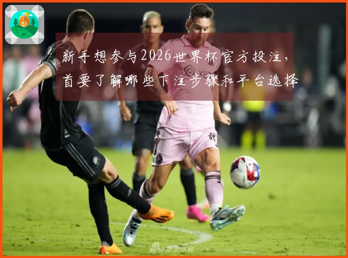 新手想参与2026世界杯官方投注,首要了解哪些下注步骤和平台选择技巧