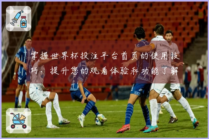 掌握世界杯投注平台首页的使用技巧，提升您的观看体验和功能了解