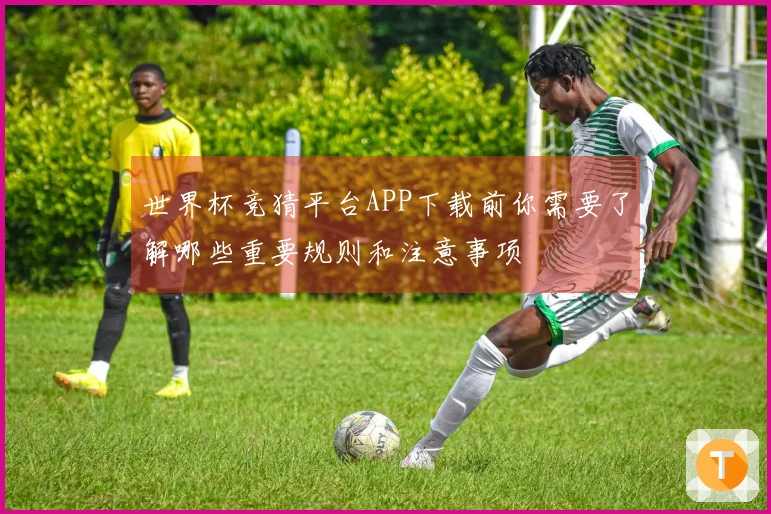 世界杯竞猜平台APP下载前你需要了解哪些重要规则和注意事项