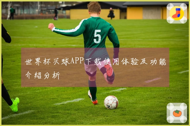 世界杯买球APP下载使用体验及功能介绍分析