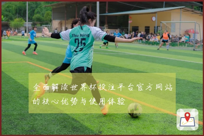 全面解读世界杯投注平台官方网站的核心优势与使用体验