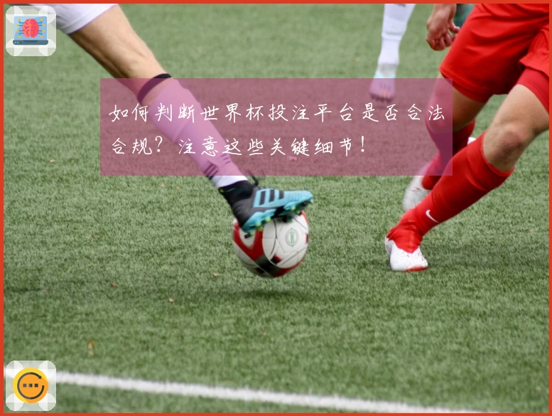 如何判断世界杯投注平台是否合法合规？注意这些关键细节！