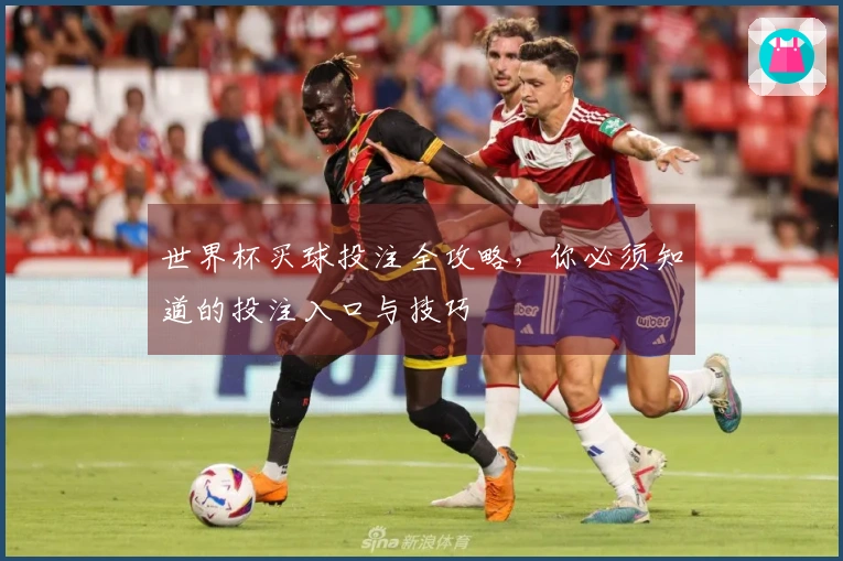 世界杯买球投注全攻略，你必须知道的投注入口与技巧