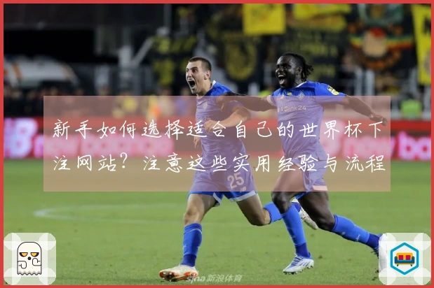 新手如何选择适合自己的世界杯下注网站?注意这些实用经验与流程!