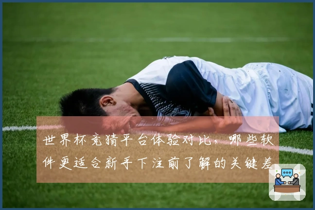 世界杯竞猜平台体验对比，哪些软件更适合新手下注前了解的关键差异？
