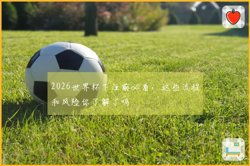 2026世界杯下注前必看，这些流程和风险你了解了吗