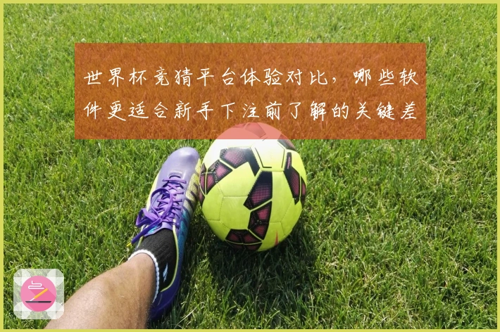 世界杯竞猜平台体验对比，哪些软件更适合新手下注前了解的关键差异？