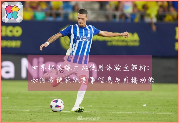 世界杯买球主站使用体验全解析:如何方便获取赛事信息与直播功能
