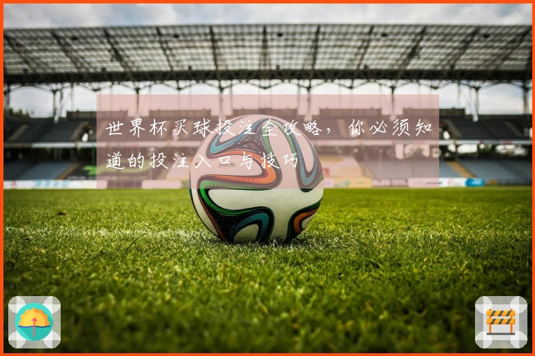 世界杯买球投注全攻略,你必须知道的投注入口与技巧